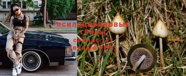 ALPHA-PVP Мегион