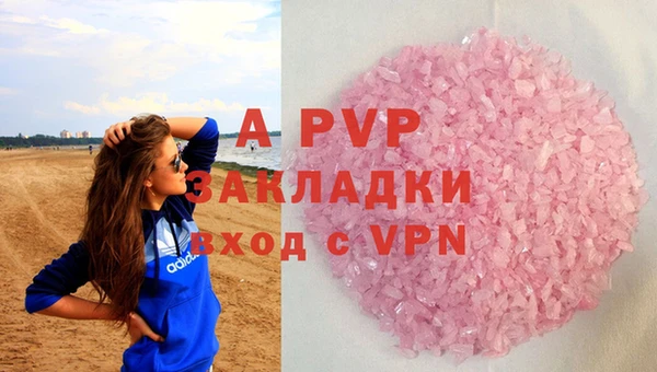 сатива Магас