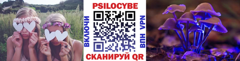 ОМГ ОМГ зеркало  Новопавловск  Галлюциногенные грибы мицелий 